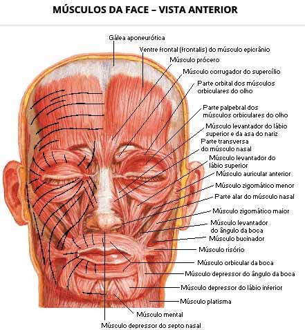 Rugas da face saúde ocular